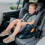 Silla de Auto OneFit LX ClearTex All-in-One 